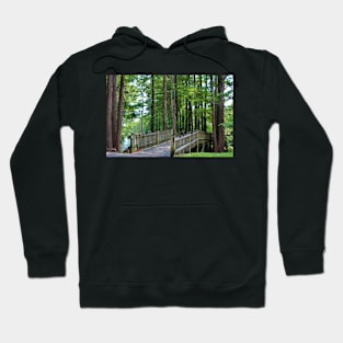 A Walk Over The Lake Hoodie